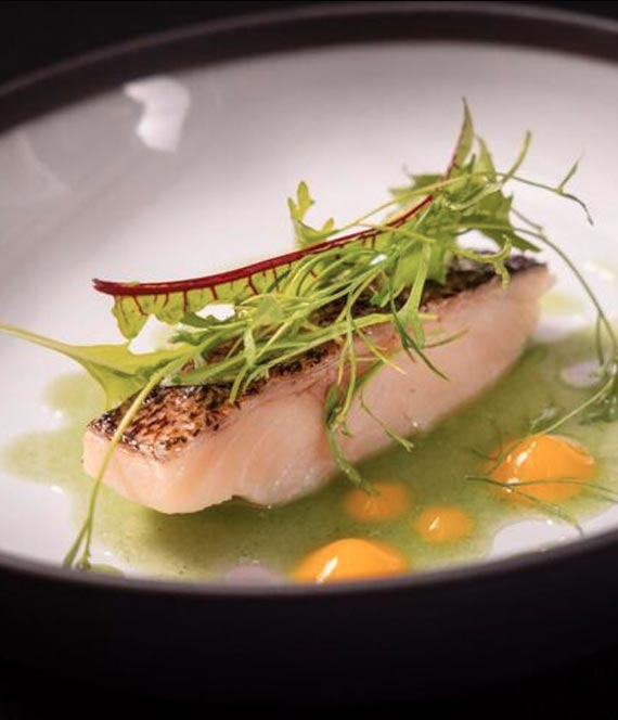 images/home-gallery/01-gallery.jpg#joomlaImage://local-images/home-gallery/01-gallery.jpg?width=570&height=664