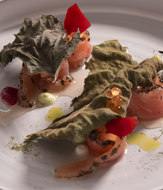 images/home-gallery/03.jpg#joomlaImage://local-images/home-gallery/03.jpg?width=570&height=664